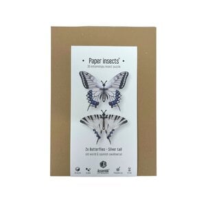 DIY kit - silver tail vlinders