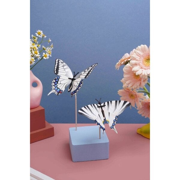DIY kit - silvertail butterflies