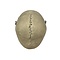 Human skull (A)