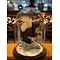 Mounted Japanese squirrel under a glass dome