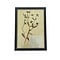 Antique Botanical frame (J)