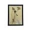 Antique Botanical frame (M)