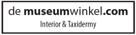 Logo DeMuseumwinkel.com