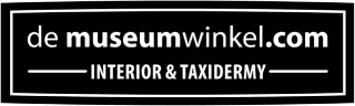 Logo DeMuseumwinkel.com