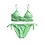 Summer Shine Bikini - Green