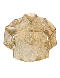 Shiny Blouse - Beige/Gold