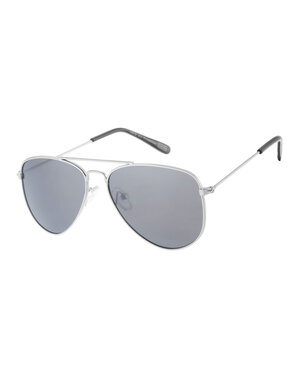  Pilot Sunglasses DD23009 - Silver