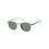Malaga Sunglasses DD24026 - Green