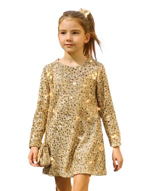  Party Sparkle Dress - Champagne/Gold