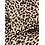 NAME IT Name It - Fahiroz Biker Legging - Leopard Brown