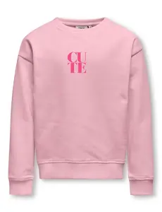 ONLY GIRLS Only - Ditte Cute Printed Sweater - Light Pink/Pink