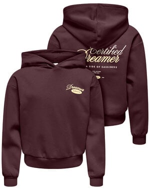 ONLY GIRLS Only - Dreamer Hoodie - Fudge Brown