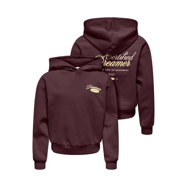 ONLY GIRLS Only - Dreamer Hoodie - Fudge Brown