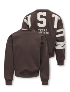 ONLY GIRLS Only - Houston Sleeve Sweater - Coffee Bean/Beige