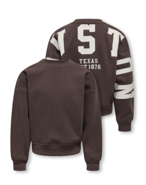 ONLY GIRLS Only - Houston Sleeve Sweater - Coffee Bean/Beige