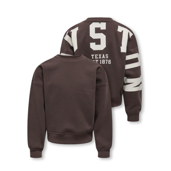 ONLY GIRLS Only - Houston Sleeve Sweater - Coffee Bean/Beige