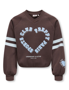 ONLY GIRLS Only - Coletta Crop Sweater - Brown/Light Blue