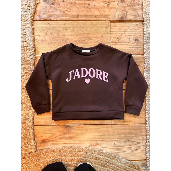 J'adore Sweater with Heart - Brown/Pink