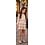 Luna Lace Set with Skort & Top - Beige