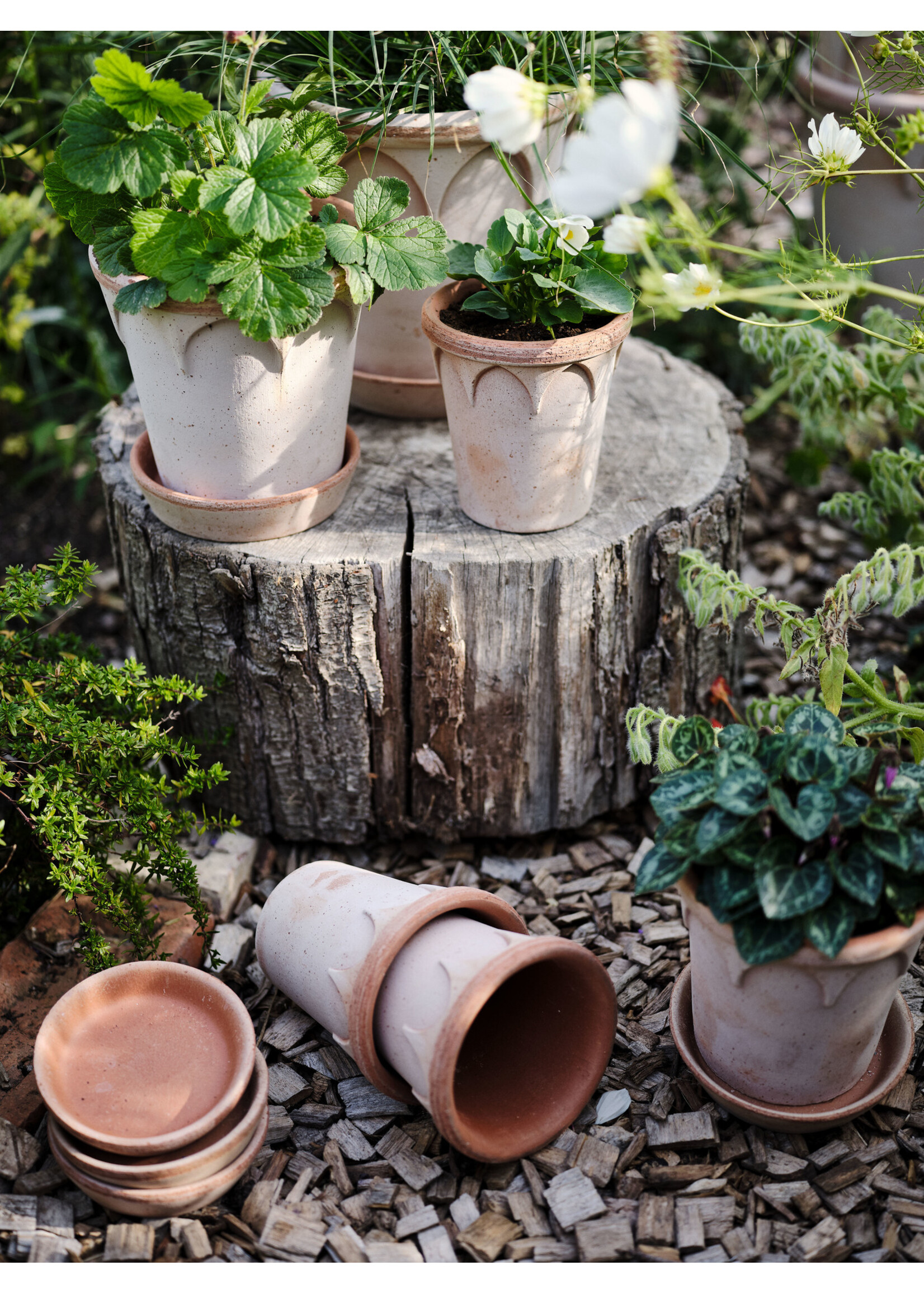 Bergs Potter Elizabeth Set Pot en Schotel Roze