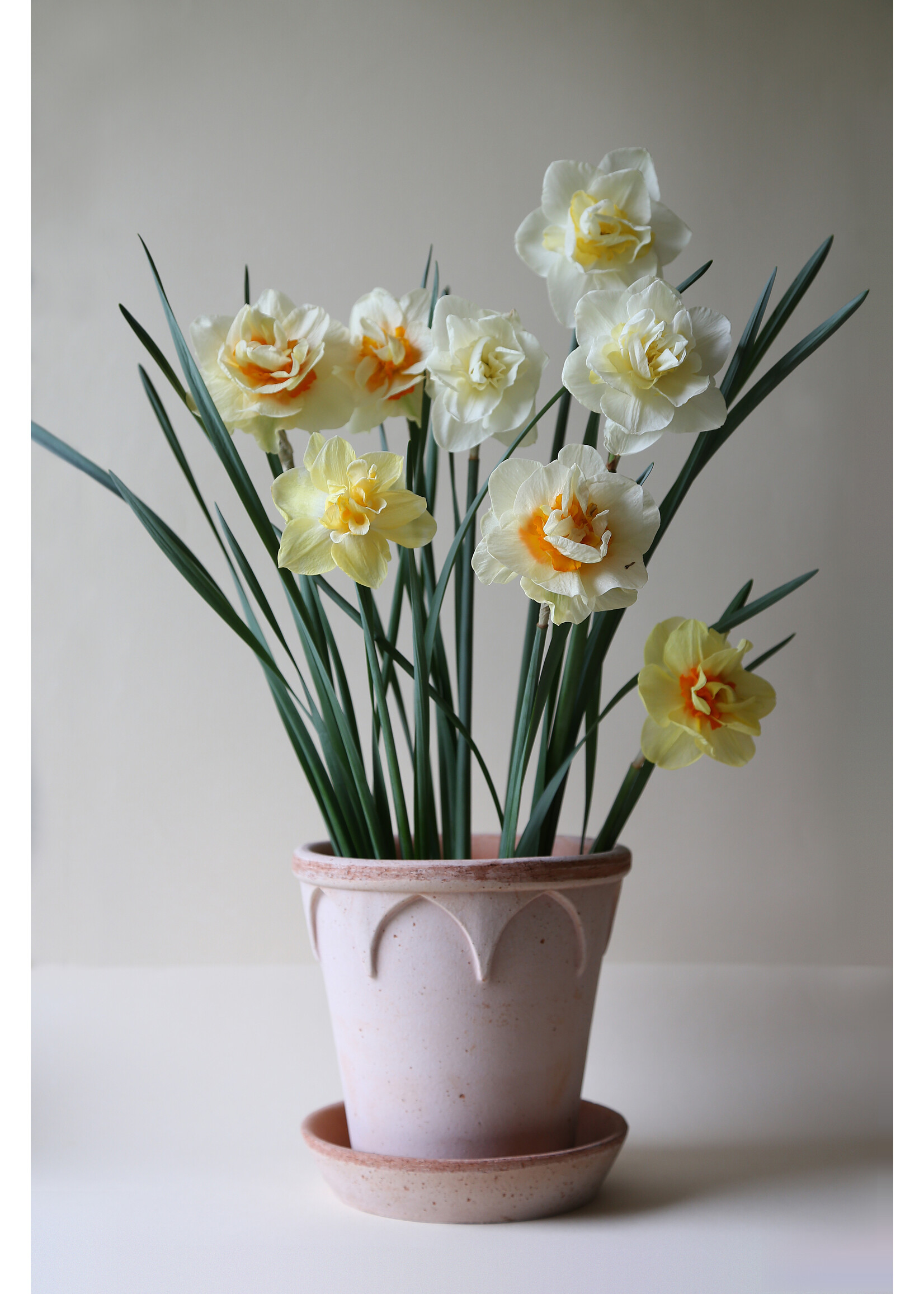 Bergs Potter Elizabeth Set Pot en Schotel Roze