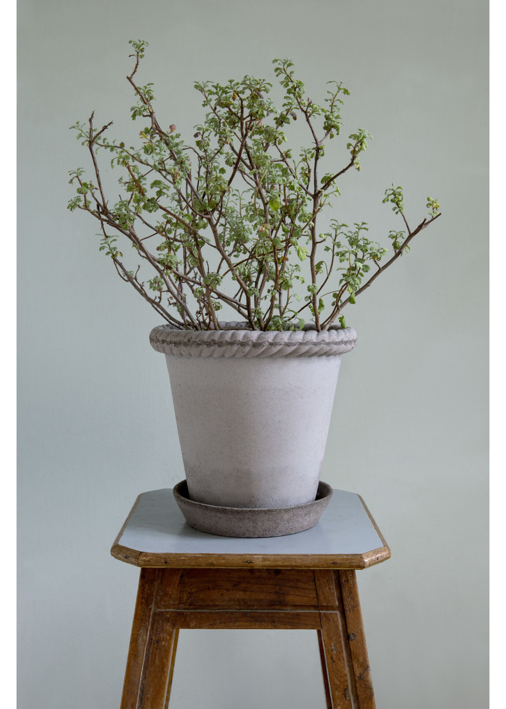 Bergs Potter Emilia Set Pot en Schotel Grijs
