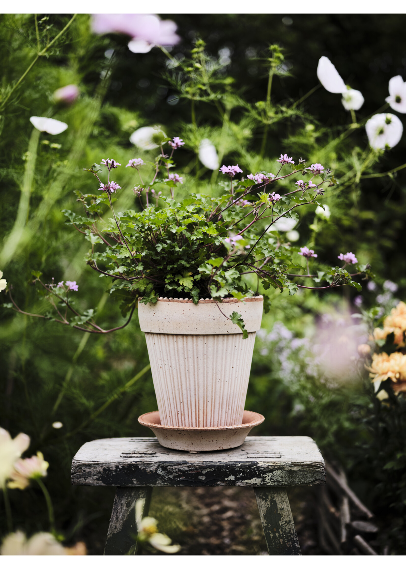 Bergs Potter Simona Set Pot en Schotel Roze