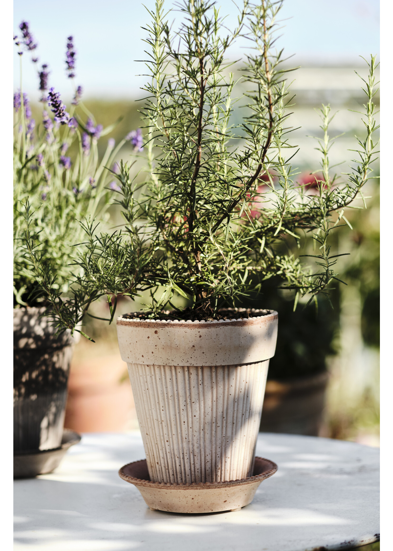 Bergs Potter Simona Set Pot en Schotel Roze