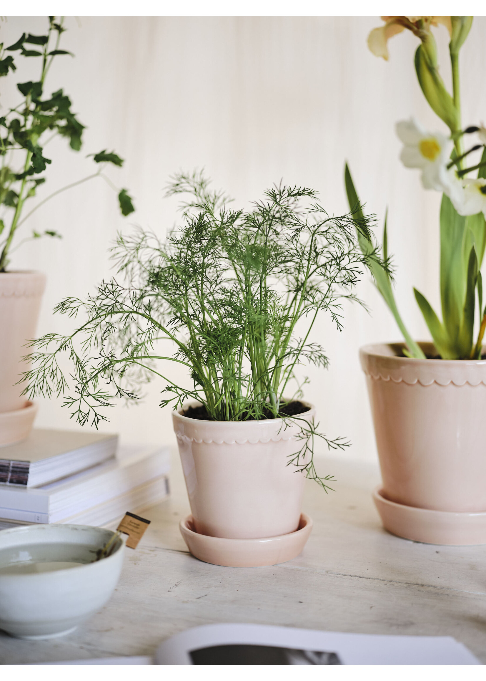 Bergs Potter Helena Set Pot en Schotel Roze Geglazuurd