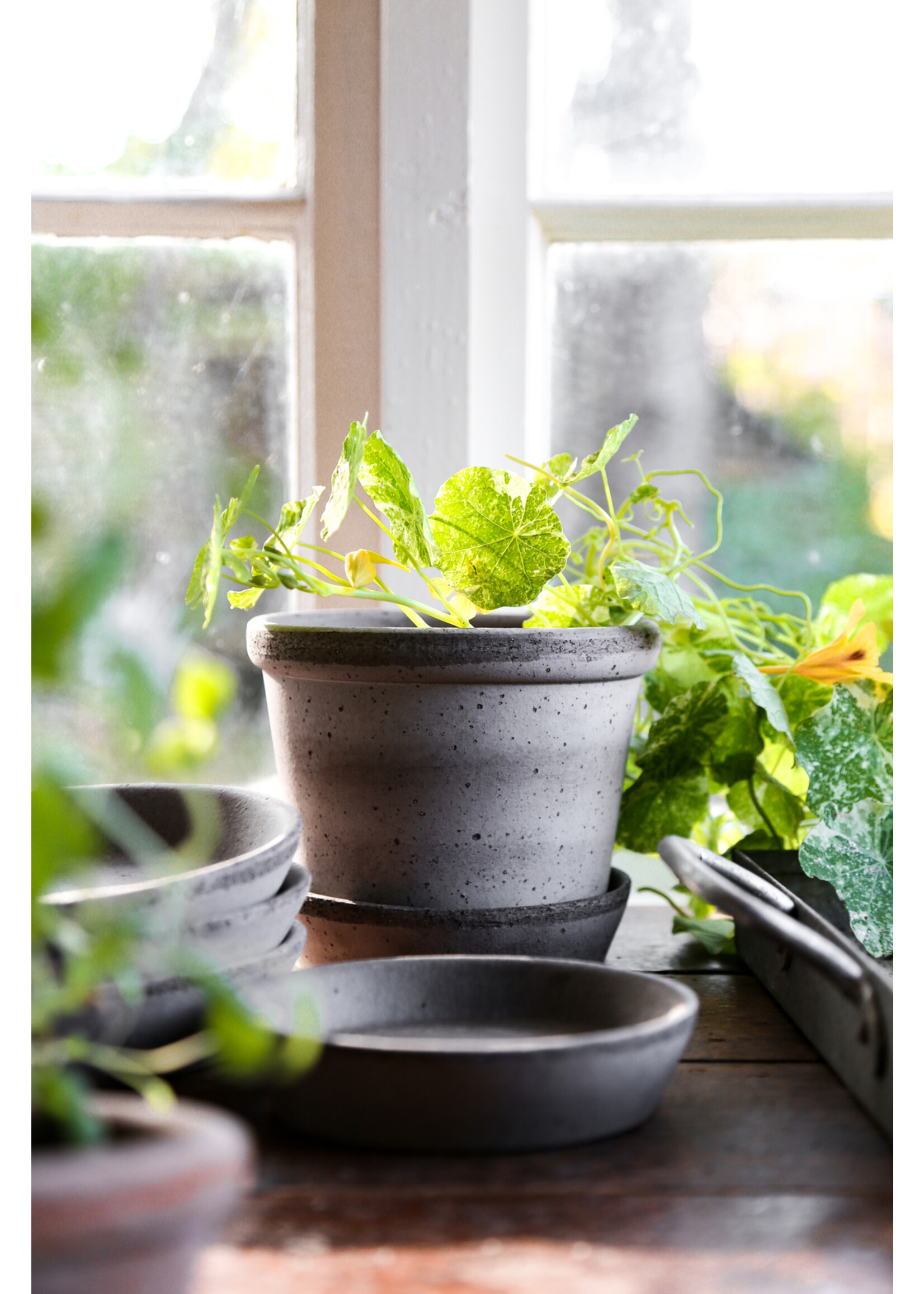 Bergs Potter Parade Set Pot en Schotel Grijs