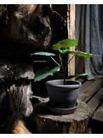 Bergs Potter Parade Set Pot en Schotel Grijs