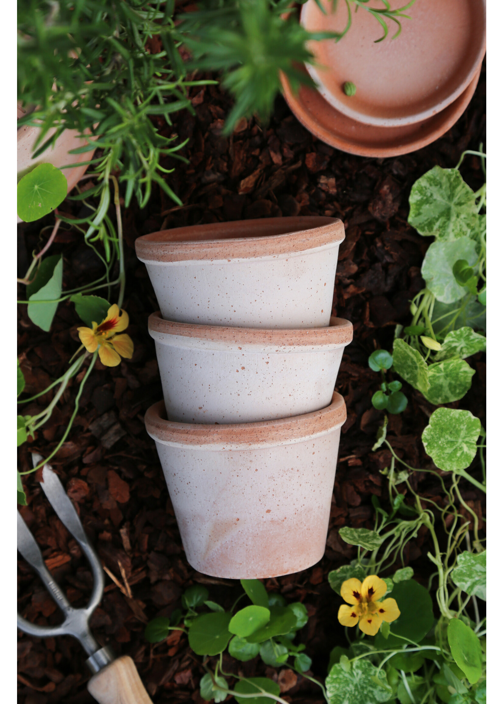 Bergs Potter Parade Set Pot en Schotel Roze