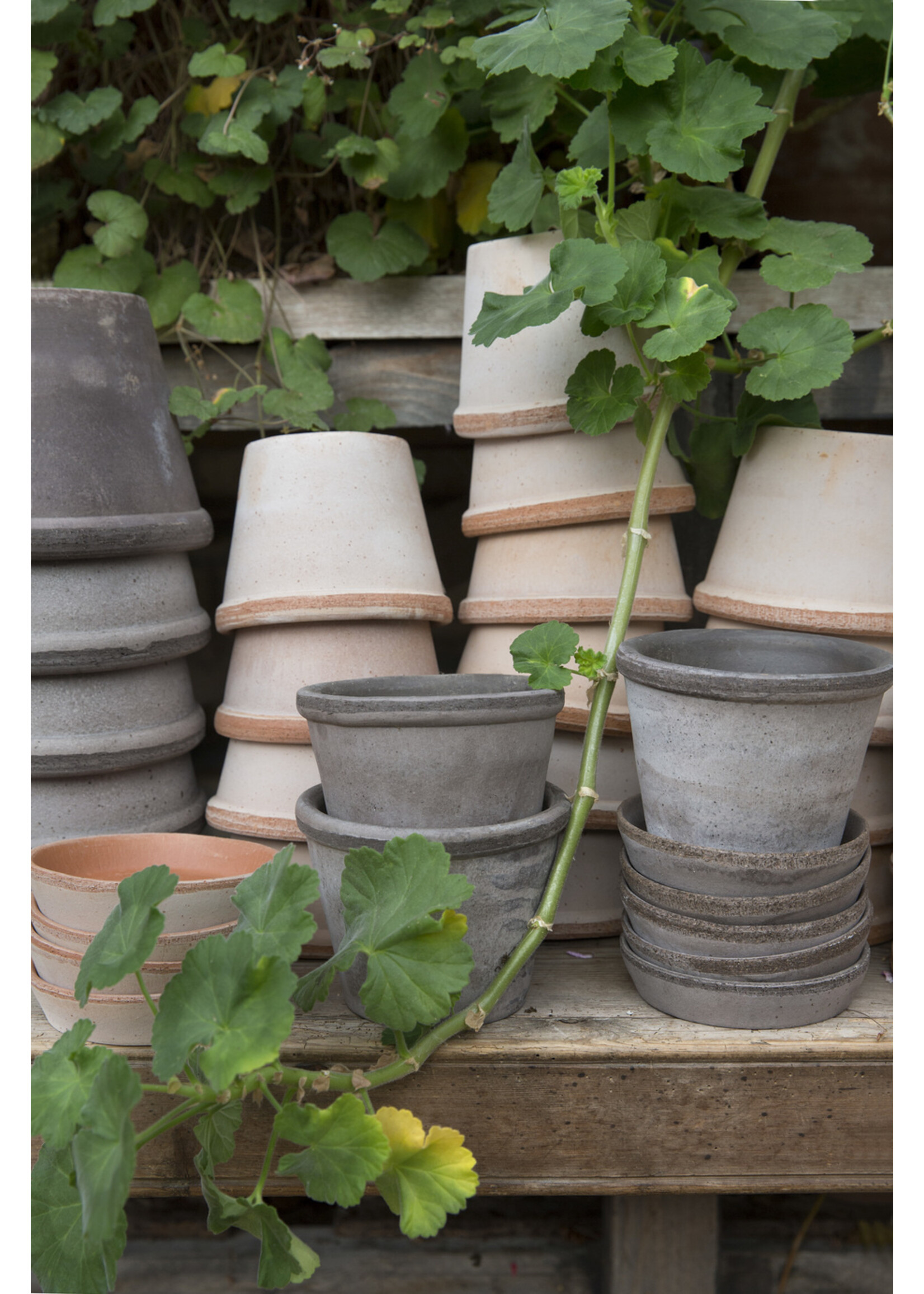 Bergs Potter Parade Set Pot en Schotel Roze