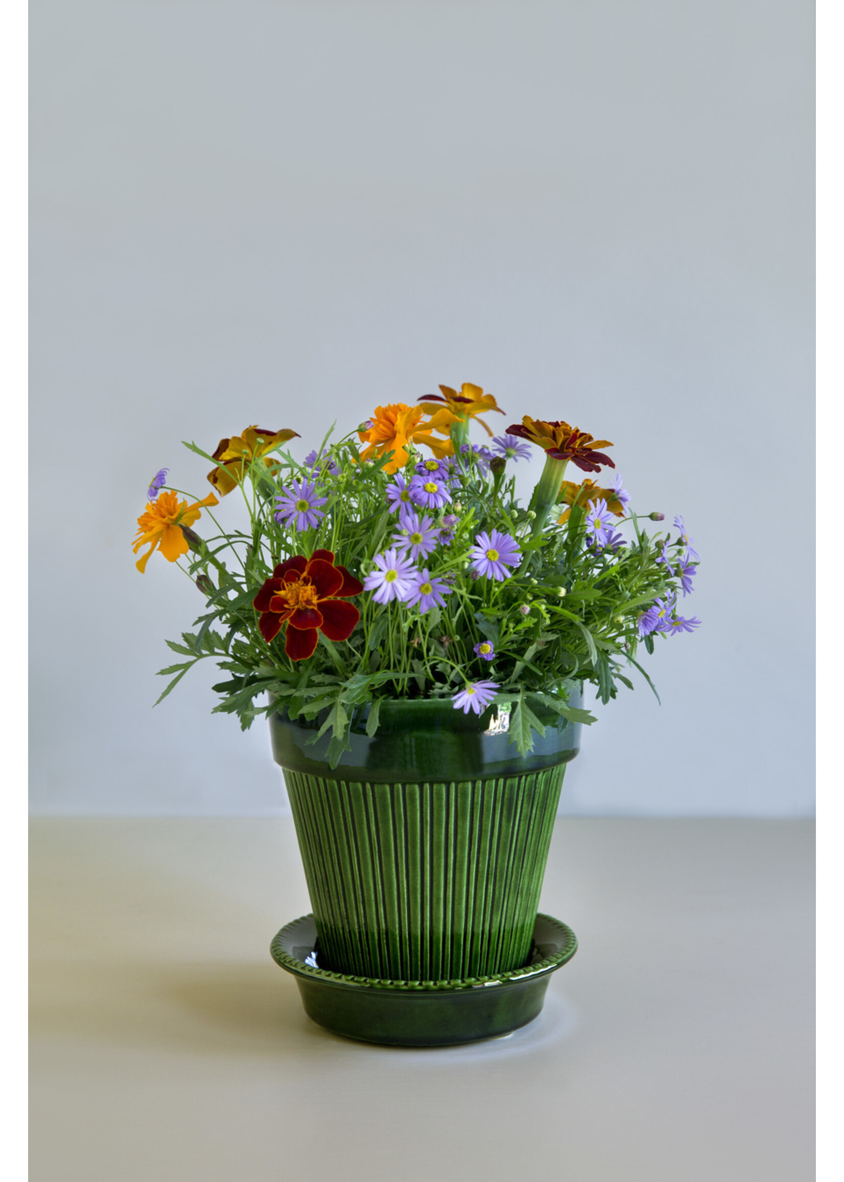 Bergs Potter Simona Set Pot en Schotel Groen Geglazuurd