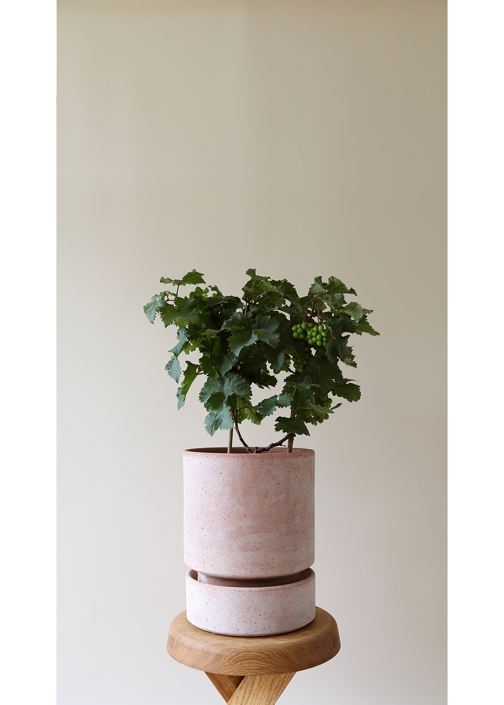 Bergs Potter Hoff Pot Roze