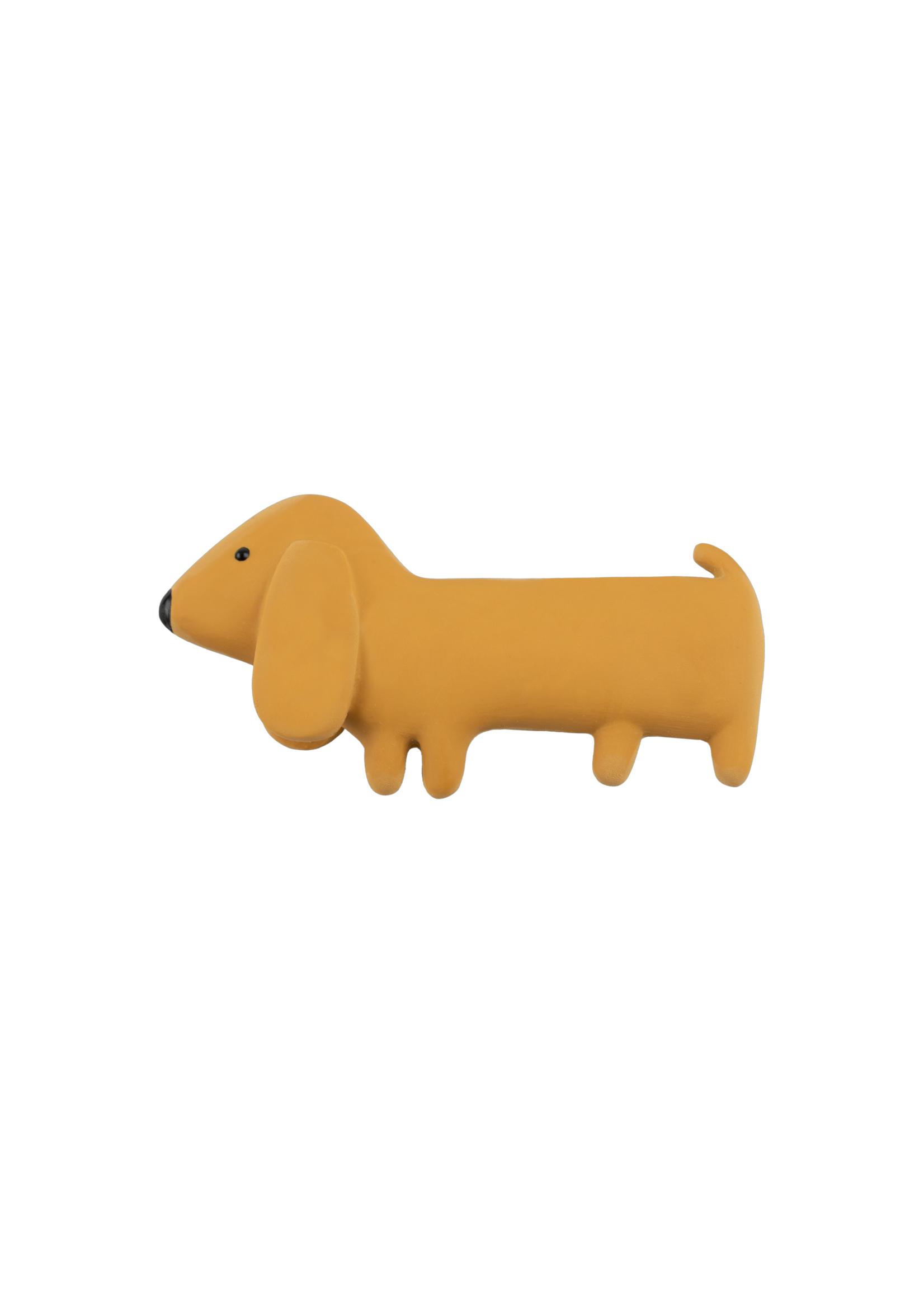 We Are Gommu Mini Hond