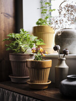 Bergs Potter Simona Set Pot en Schotel Geel Geglazuurd