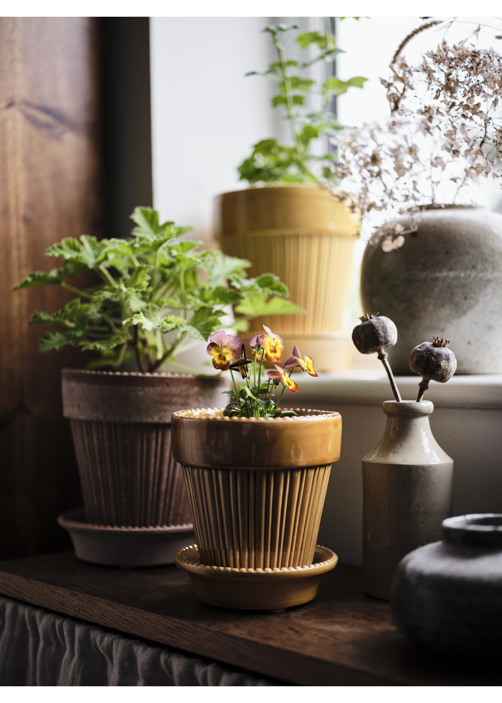 Bergs Potter Simona Set Pot en Schotel Geel Geglazuurd