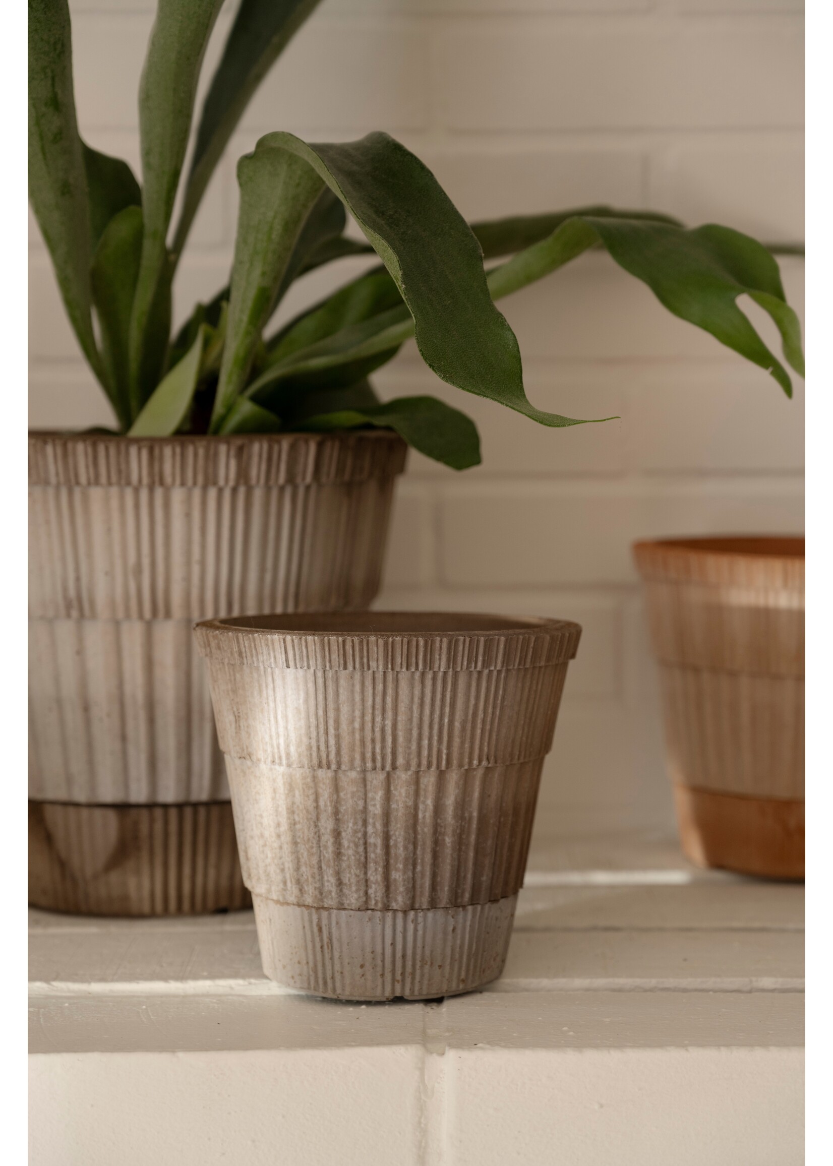Bergs Potter Atlas raw Grey - set pot en schotel Ø18 cm