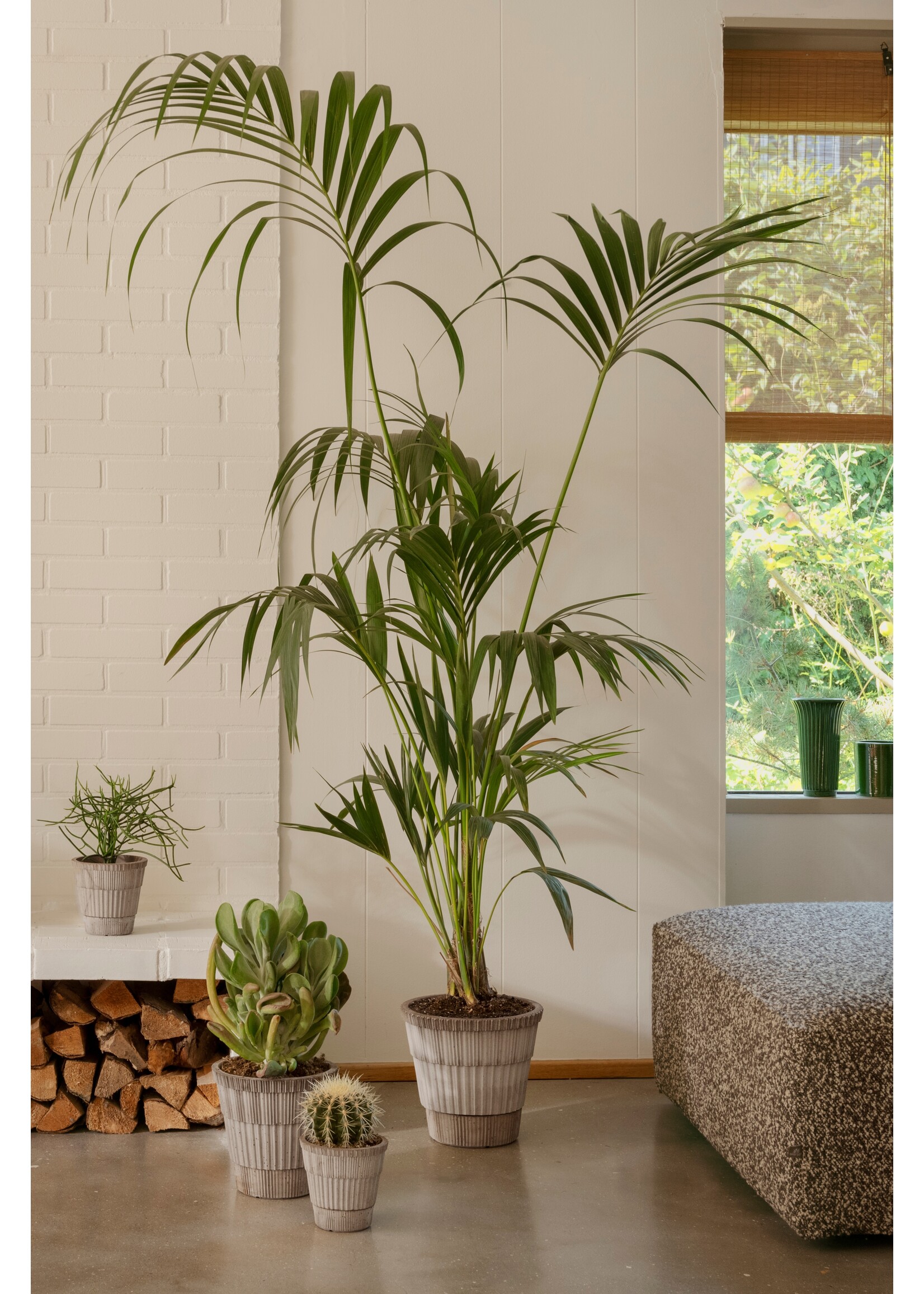 Bergs Potter Atlas raw Grey - set pot en schotel Ø18 cm