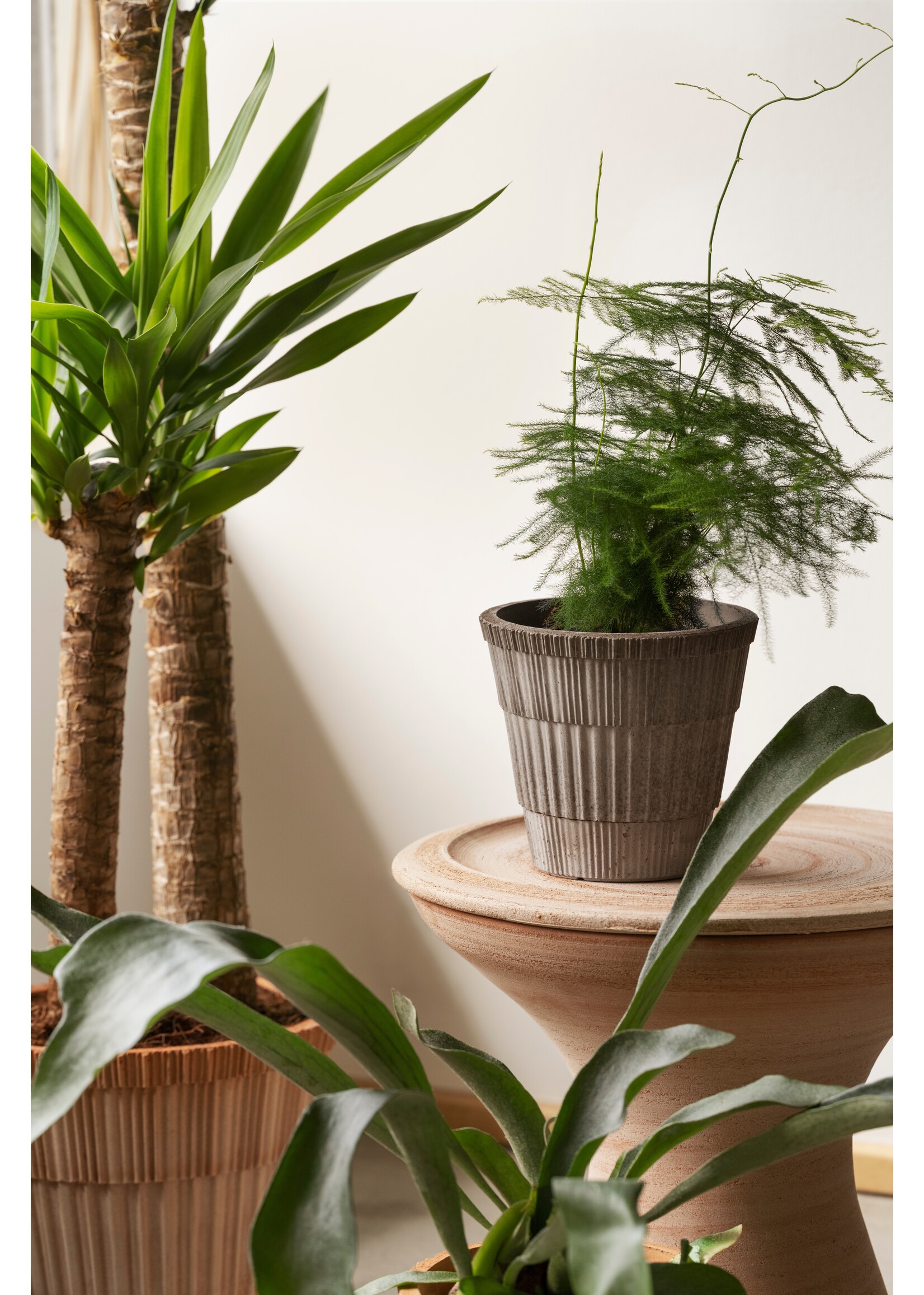 Bergs Potter Atlas raw Grey - set pot en schotel Ø18 cm