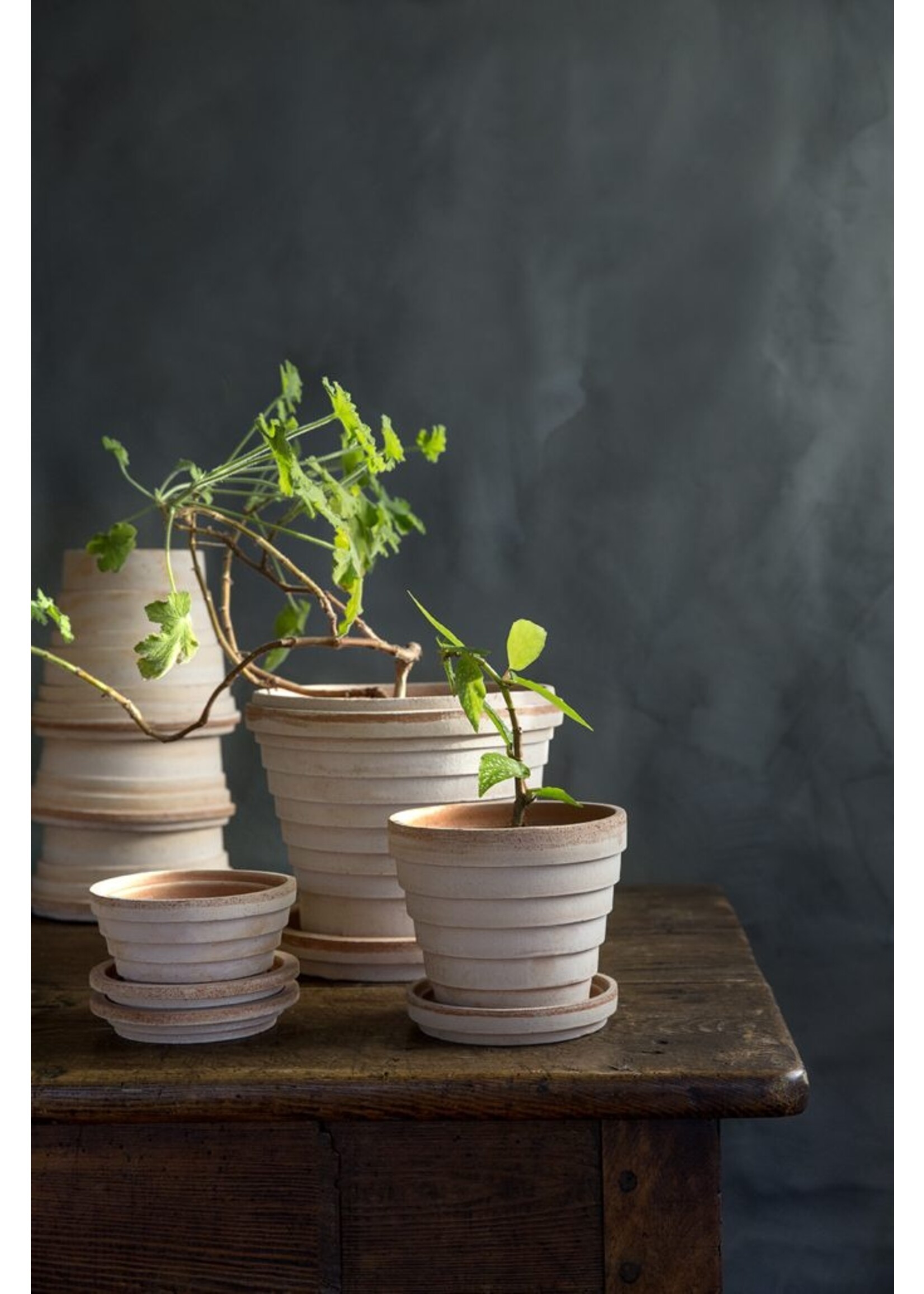 Bergs Potter Planet Set Pot en Schotel Roze