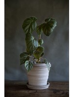 Bergs Potter Planet Set Pot en Schotel Grijs