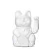 Donkey lucky cat white