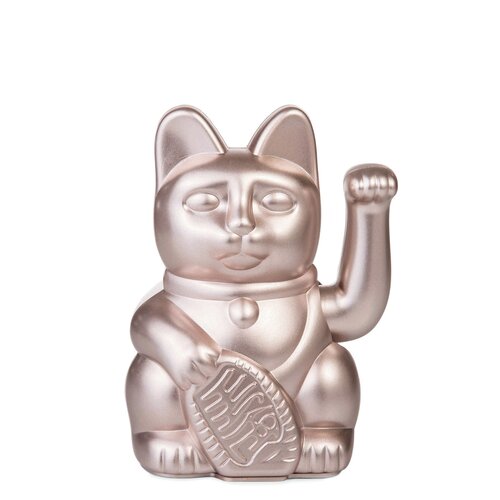 Donkey lucky cat moonlight 