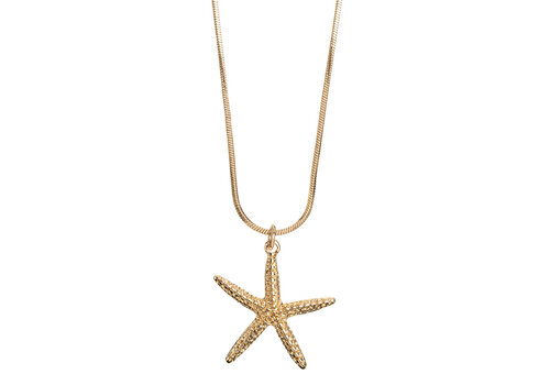 Timi Timi ketting - Zeester - Goud