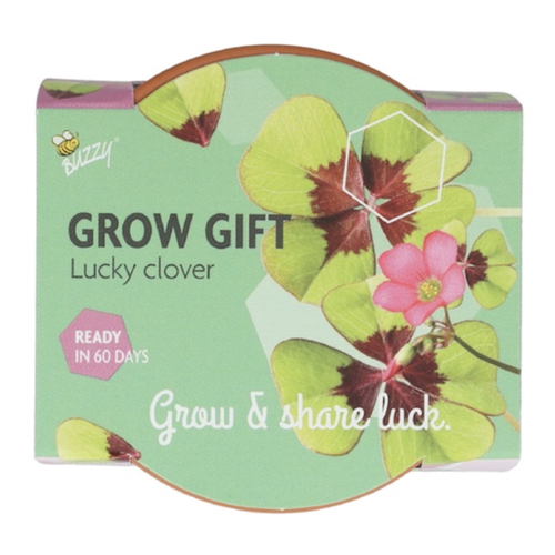 Grow a gift - Klavertje vier 