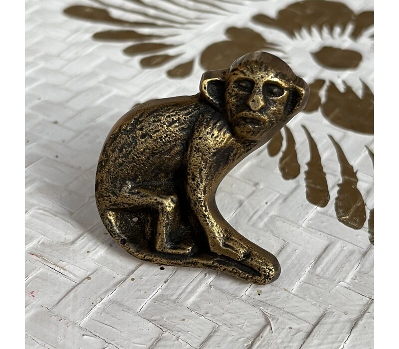 Hello Miracle Kast/Deur knop Aap Antiek