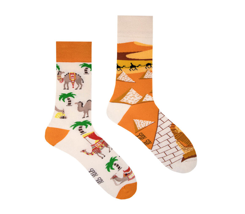 Spox sox - Casual socks - Camels from Egypt