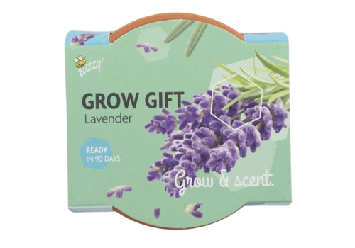 Grow a gift - Lavendel
